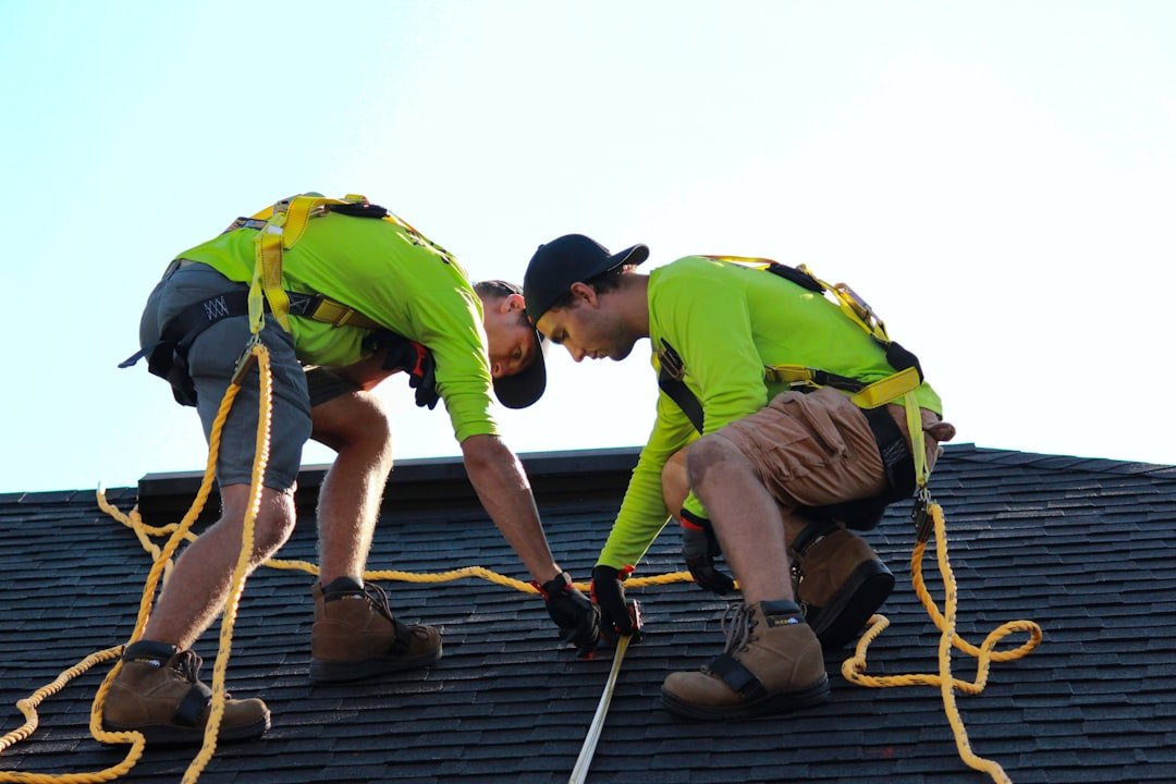 smyrna roofer