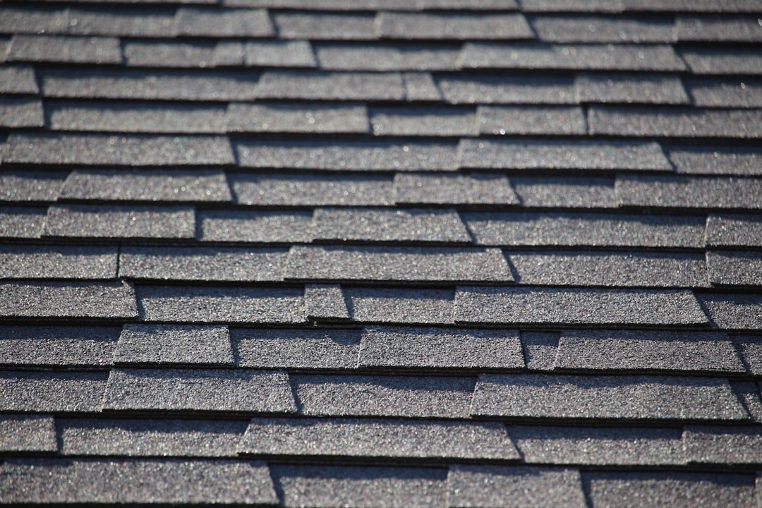 need a new roof