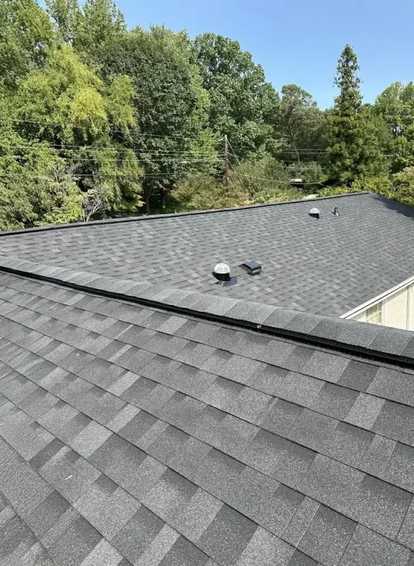 asphalt-shingle-roof